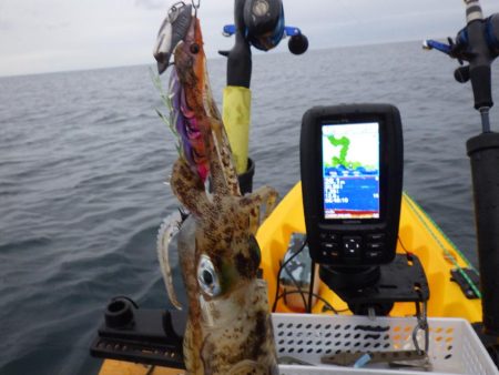 今日もティップラン